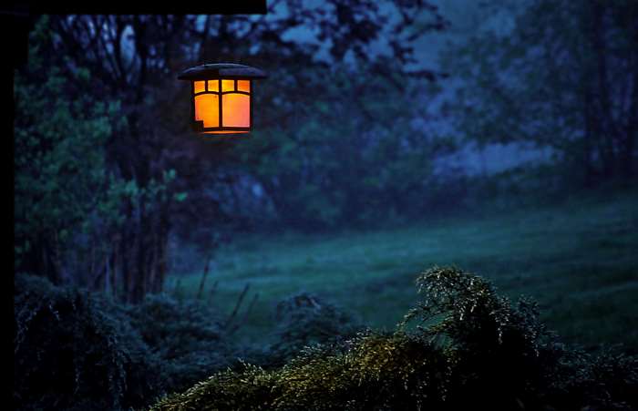 Outdoor lantern at dusk in a foggy forest