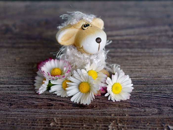 Decorative sheep with daisies on wooden background