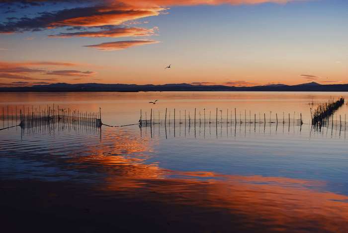 Sunset over a lake with fishing nets and birds