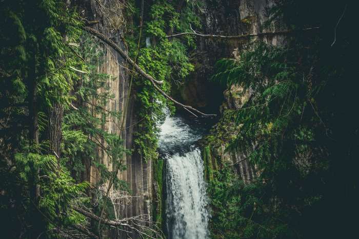 Waterfall in a forest with trees and rocks