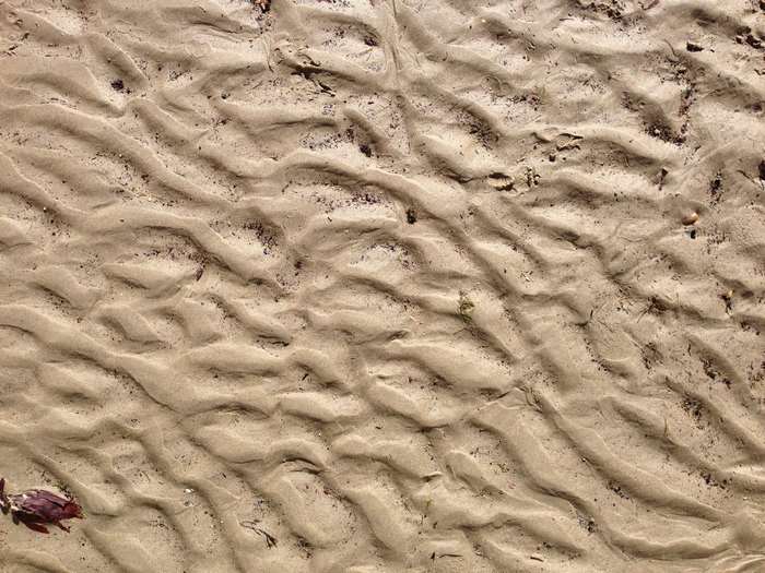 Sand ripples on a beach with debris