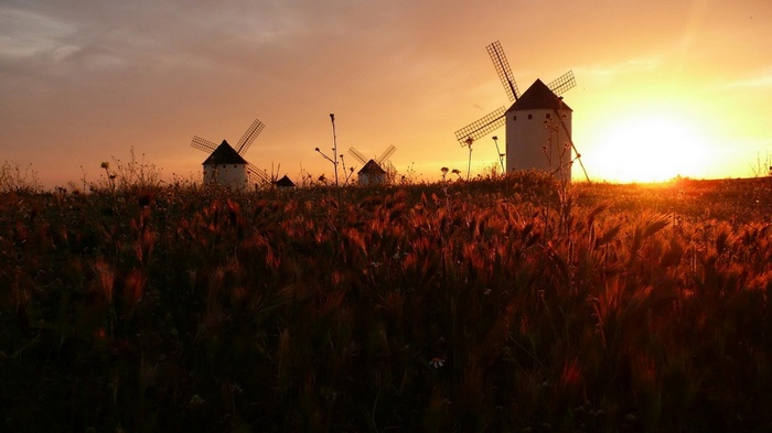 Windmills in a field at sunset