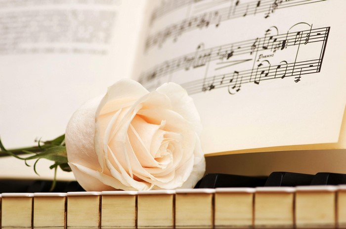 White Rose on Piano Keys with Sheet Music