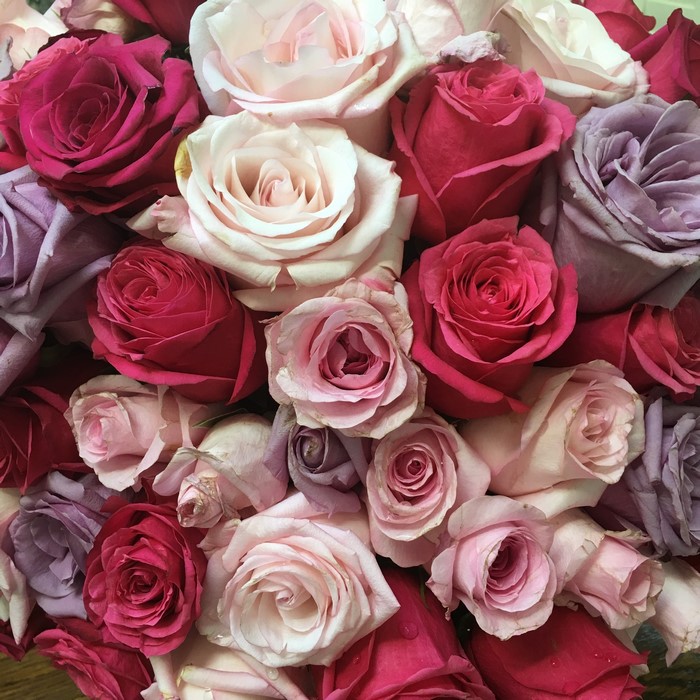A colorful bouquet of roses in various shades of pink, red, and purple.