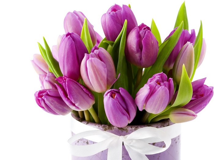 Purple tulips in a vase with a ribbon
