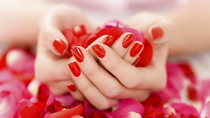 Hands with red nail polish holding red rose petals