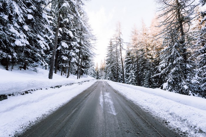 Snow-Covered Road Through Winter Forest