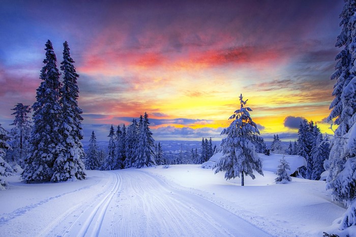 Norway Winter Forest Snowy Landscape at Sunset