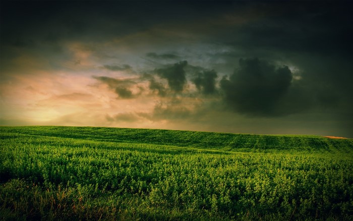 Green field under stormy clouds