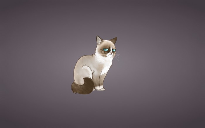 Grumpy Cat meme illustration