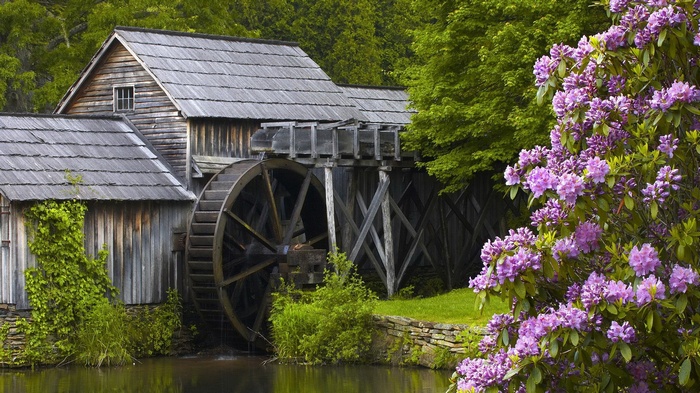 Old water mill with a water wheel and purple flowers