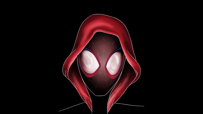 Miles Morales from Spider-Man: Into the Spider-Verse