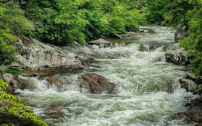 A river flows through a rocky, forested area.
