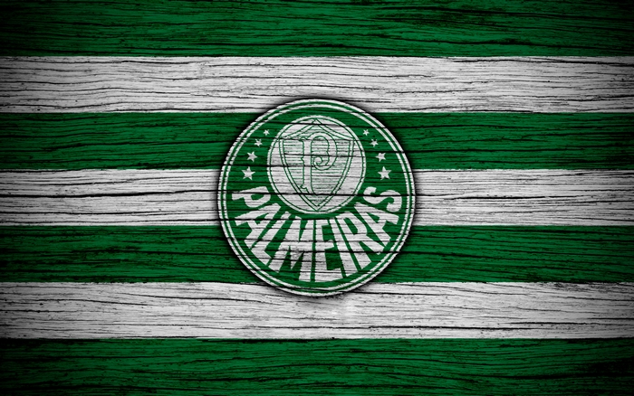 Sociedade Esportiva Palmeiras logo on wood