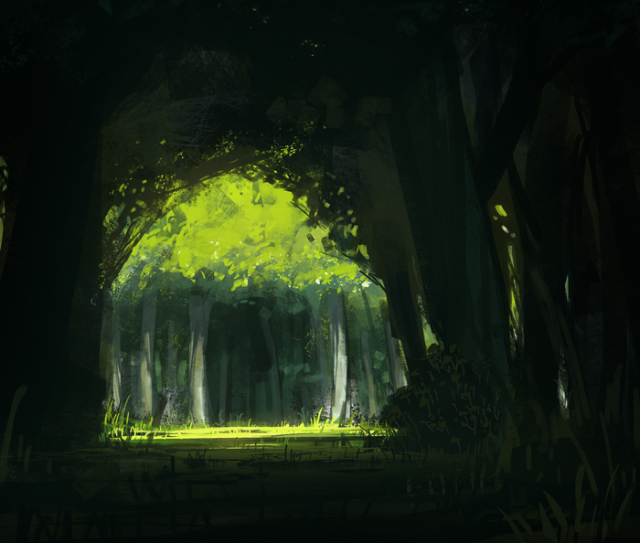 Sunlight filtering through a dark forest canopy