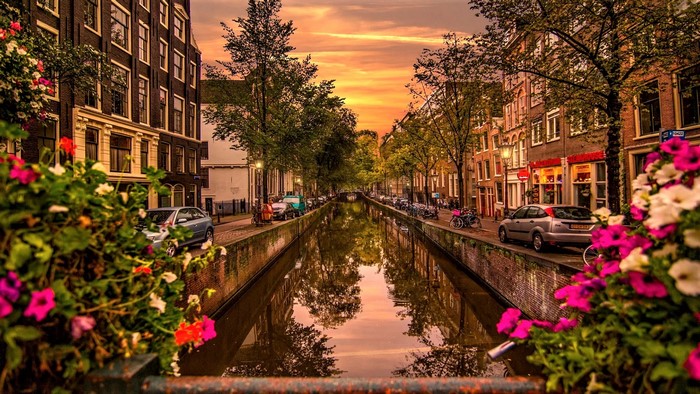 Sunset Canal Street in Amsterdam with Colorful Flowers