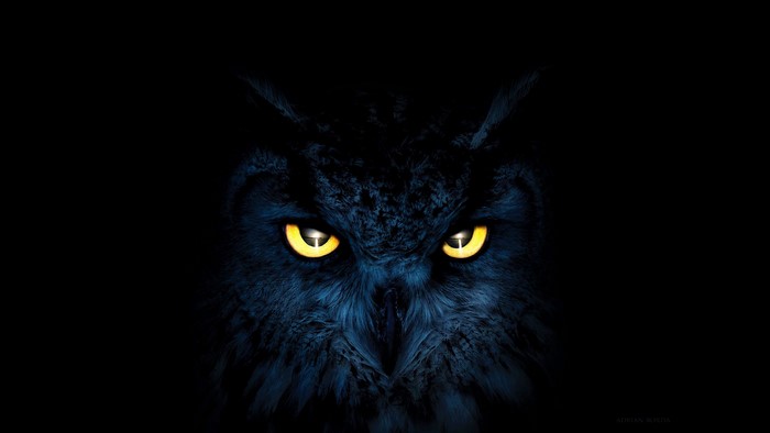 Close-up of an owl's face with glowing yellow eyes