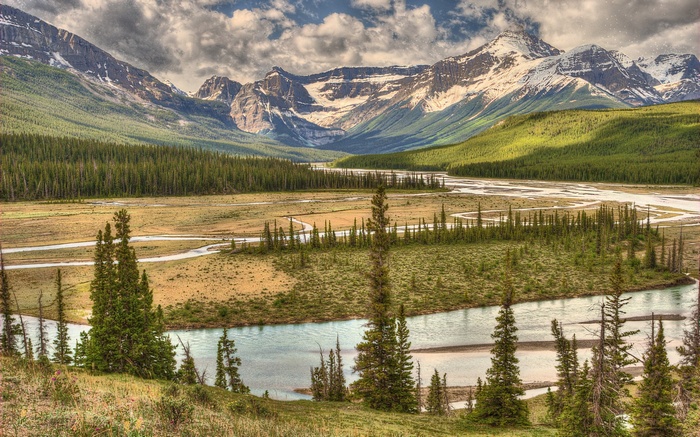 River valley with mountains and pine forest