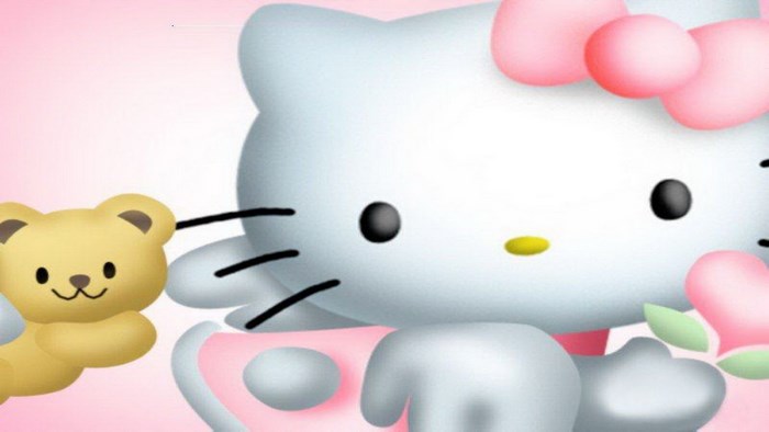 Hello Kitty with Teddy Bear on Pink Background