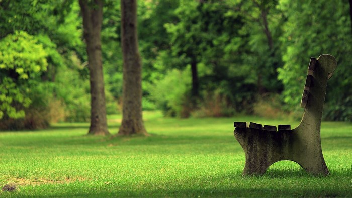 Park bench in a green park with trees