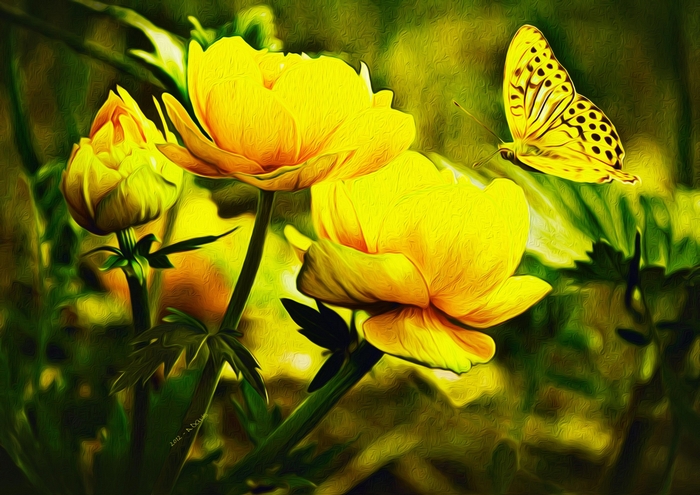 Bright Yellow Flowers with Butterfly in Soft Light