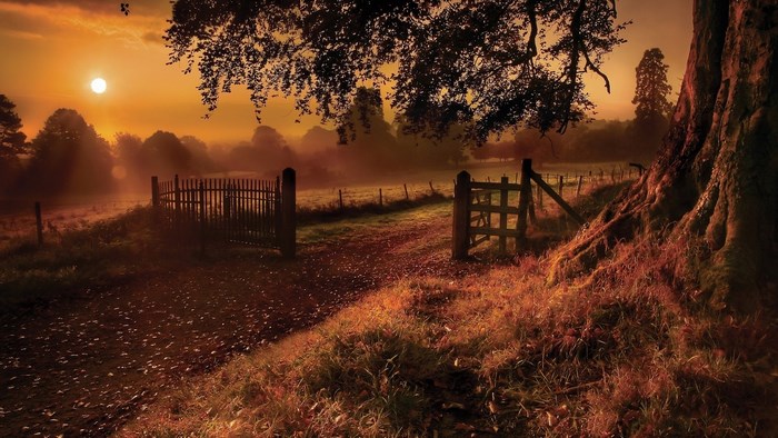 Autumn sunrise over a misty field with a wooden gate