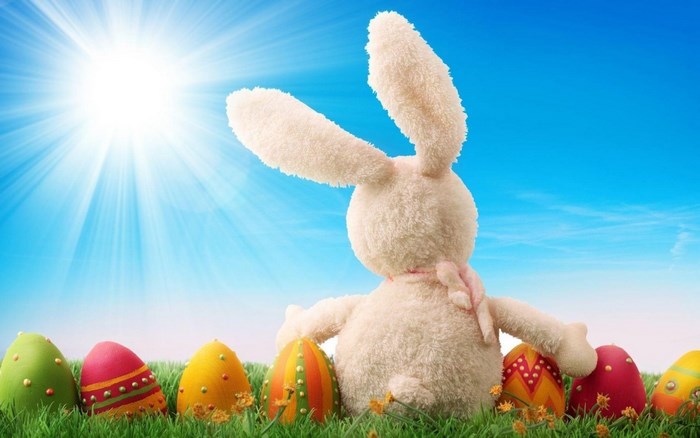 Easter Bunny and Decorated Eggs in Sunlight