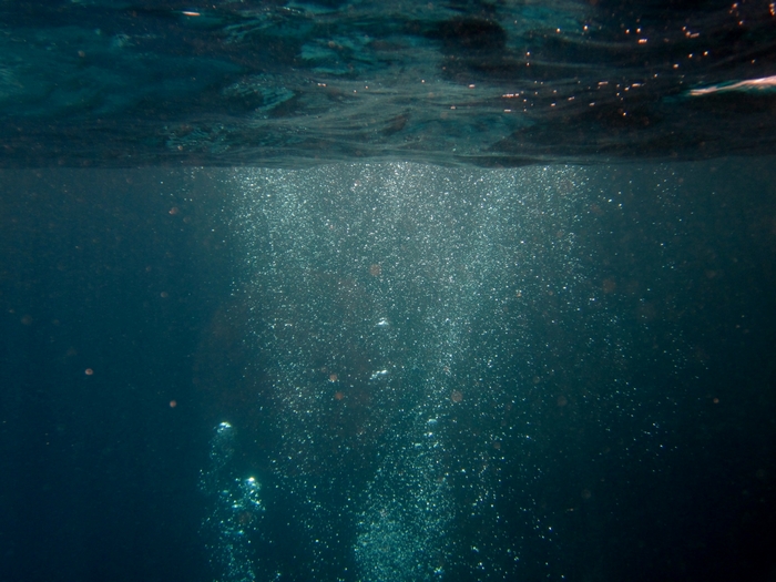 Underwater bubbles rising towards the surface