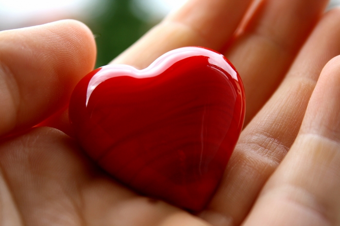 Red heart held in hands
