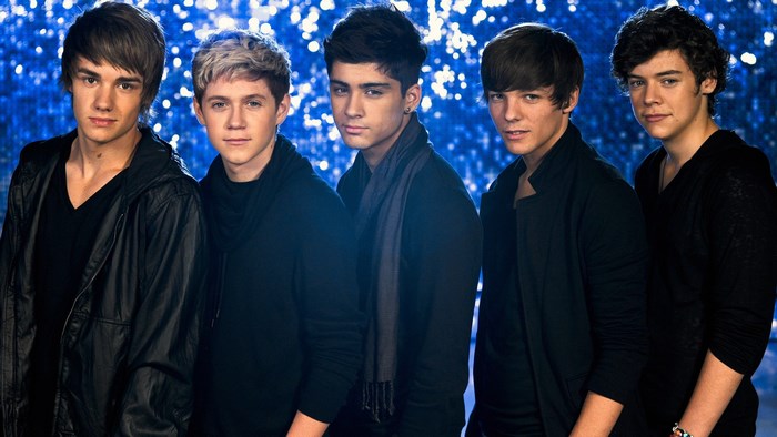 One Direction group portrait