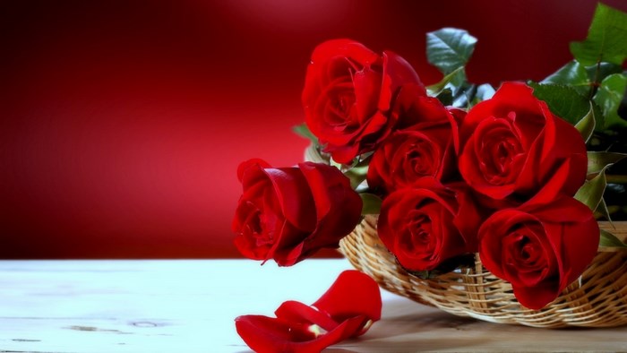 Red roses in a basket with petals