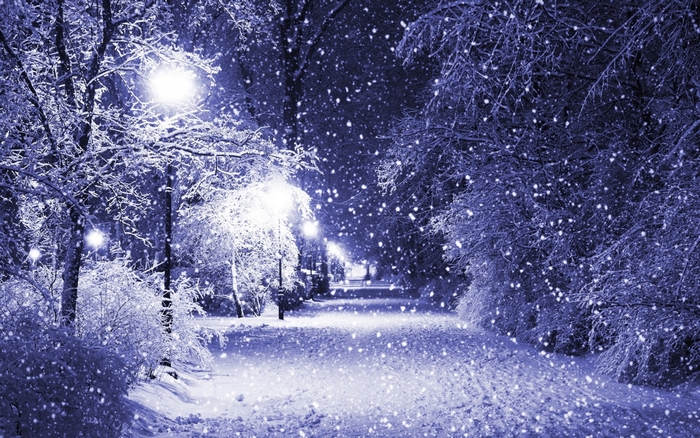 Snowy park path with streetlights at night