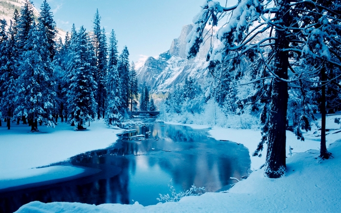 Snowy River and Forest with Mountains