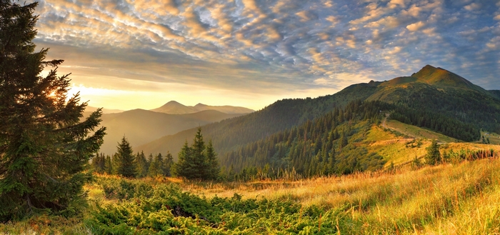 Mountain landscape at sunrise with pine trees and clouds