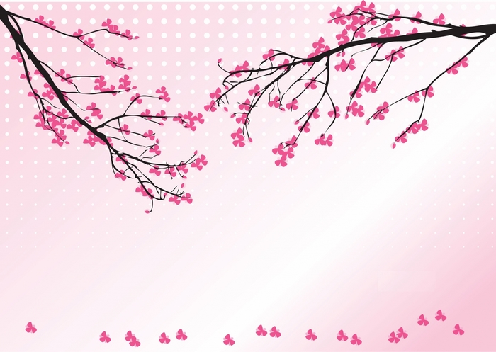 Cherry blossom branches with pink flowers and white dots