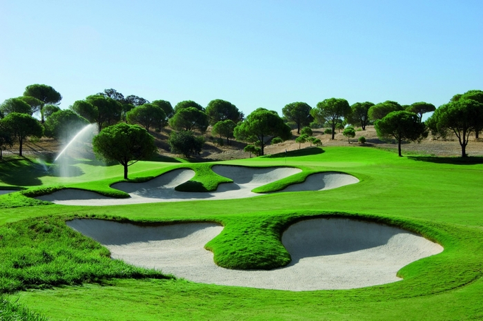 Golf course with sand traps and trees