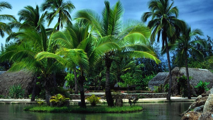 Tropical island with palm trees and huts