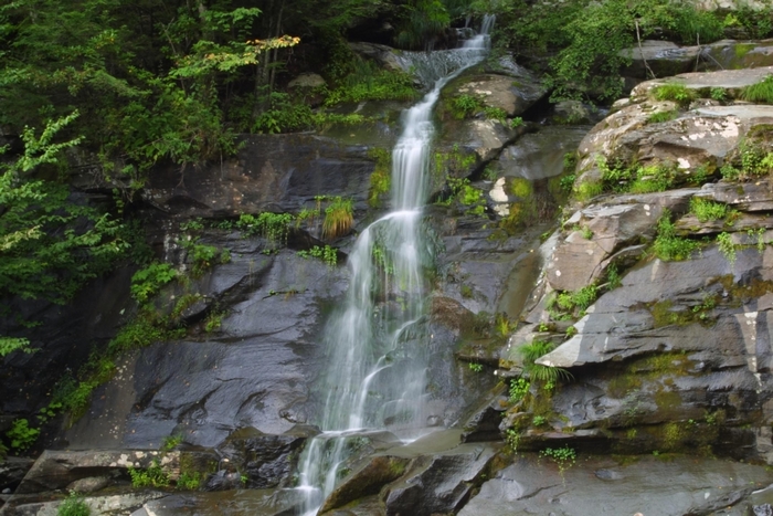 Waterfall cascading over mossy rocks in a forest