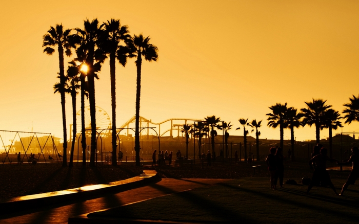 Palm trees and amusement park rides at sunset