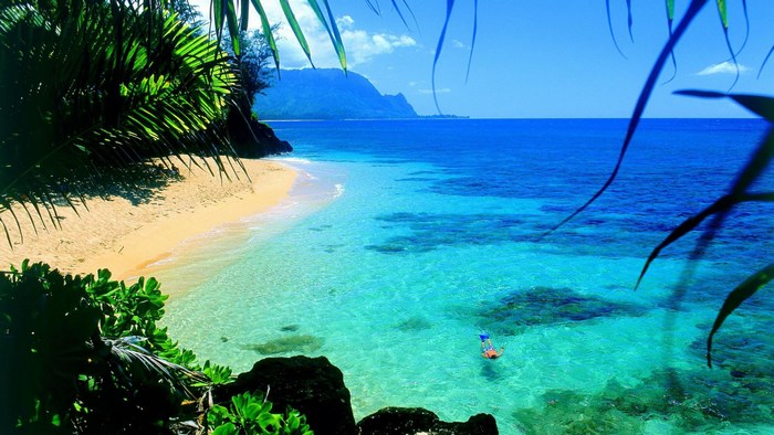 Tropical Beach with Snorkeler and Mountains