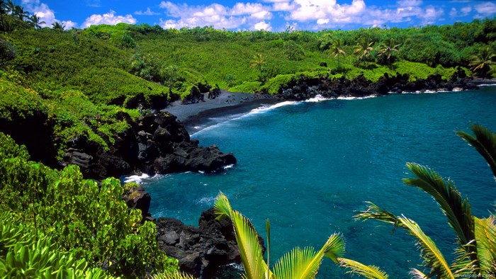 Black Sand Beach and Tropical Coastline in Hawaii