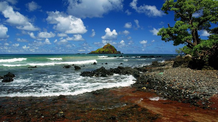 Rocky Hawaiian Coastline with Island and Tree