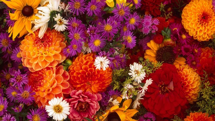 Colorful Autumn Flower Arrangement