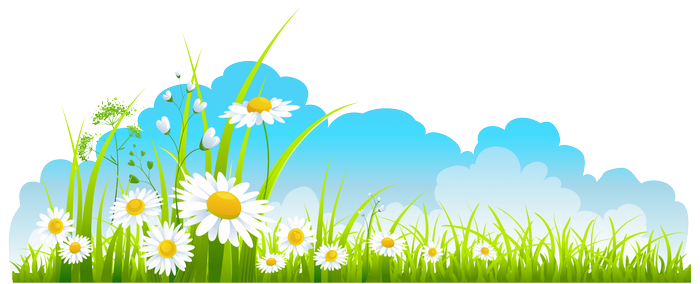 Spring meadow with daisies and blue sky