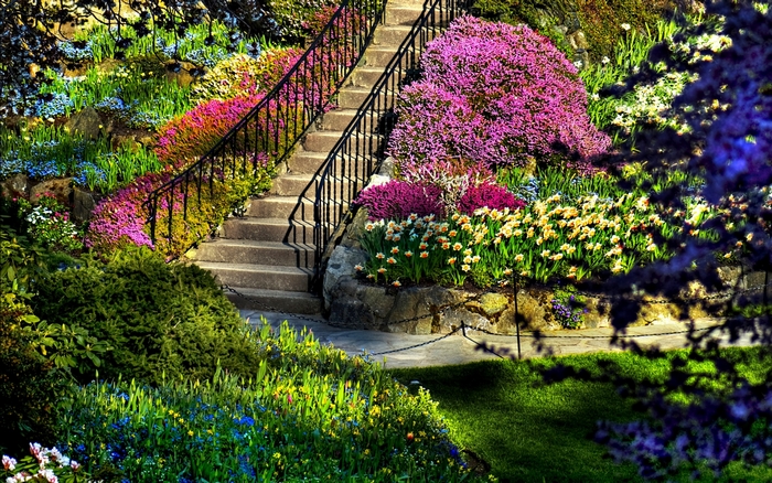 Stone stairs with colorful flowers in a garden