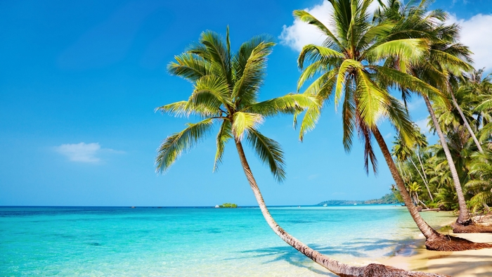 Tropical beach with palm trees and turquoise water