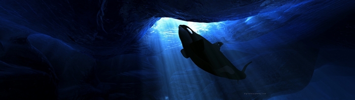 Orca swimming in an ice cave