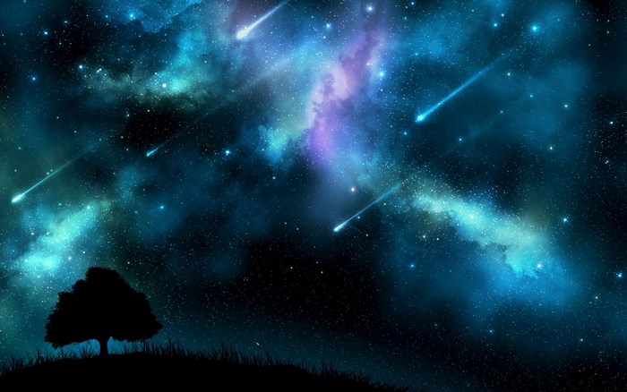 Night Sky with Falling Stars and Silhouetted Tree