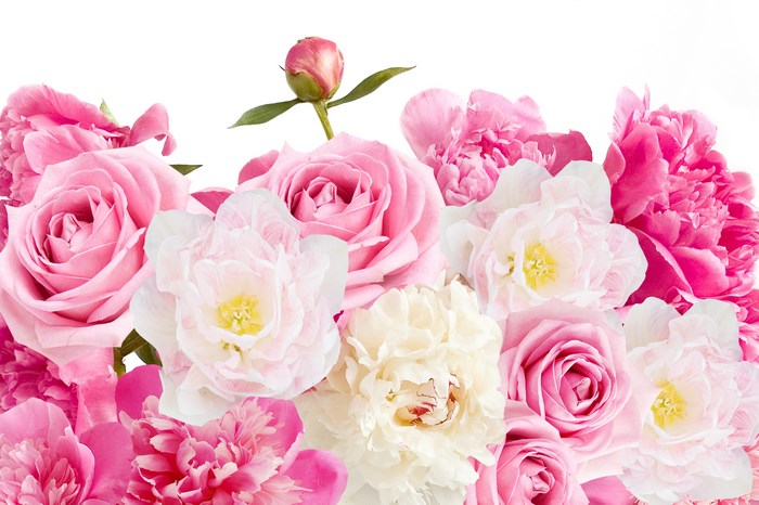 Pink and white peonies and roses bouquet