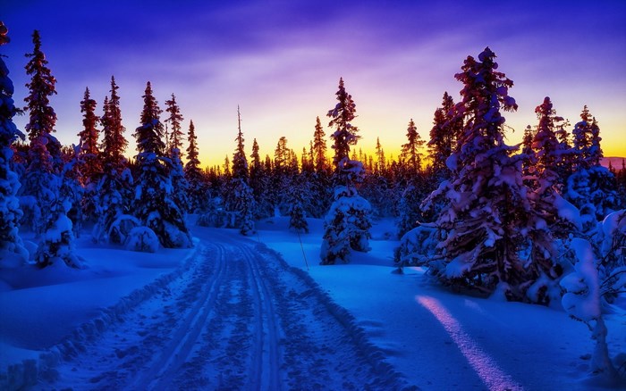 Snowy forest path at sunset